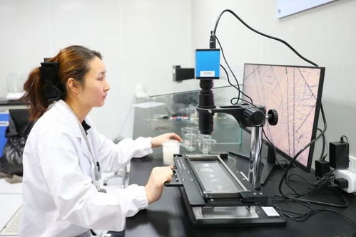 最美生產(chǎn)線 走進(jìn)中紡聯(lián)檢上海，探索檢驗(yàn)技術(shù)服務(wù)的卓越之旅