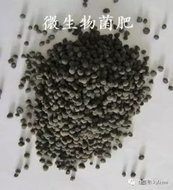 微生物肥料與微生物菌劑的區(qū)別和聯(lián)系